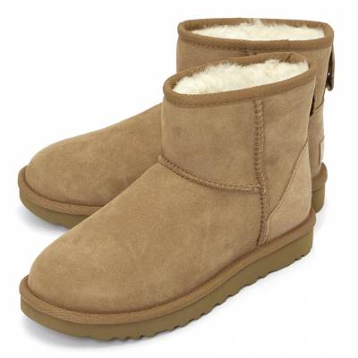 어그(UGG) 여성 클래식 미니 2 부츠 1016222 CHE
