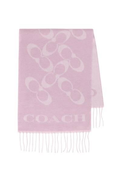 코치(COACH) 여성 목도리 CO100317 FADED PINK